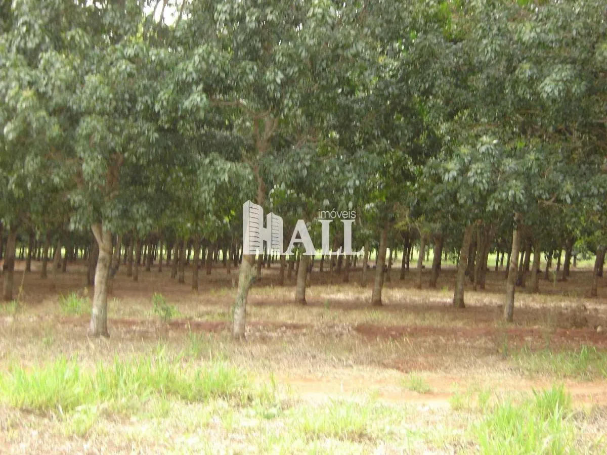 Fazenda à venda de 73 ha em Caiuá, SP, Brasil