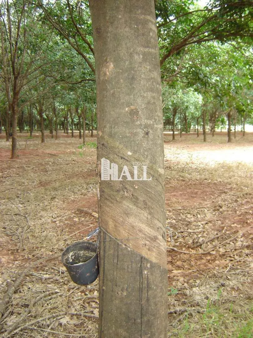Fazenda à venda de 73 ha em Caiuá, SP, Brasil