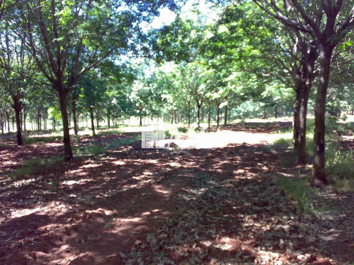 Fazenda à venda de 73 ha em Caiuá, SP, Brasil
