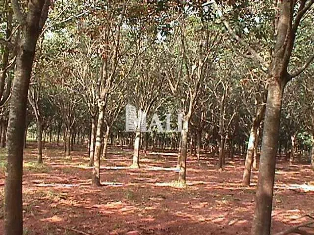 Fazenda à venda de 73 ha em Caiuá, SP, Brasil