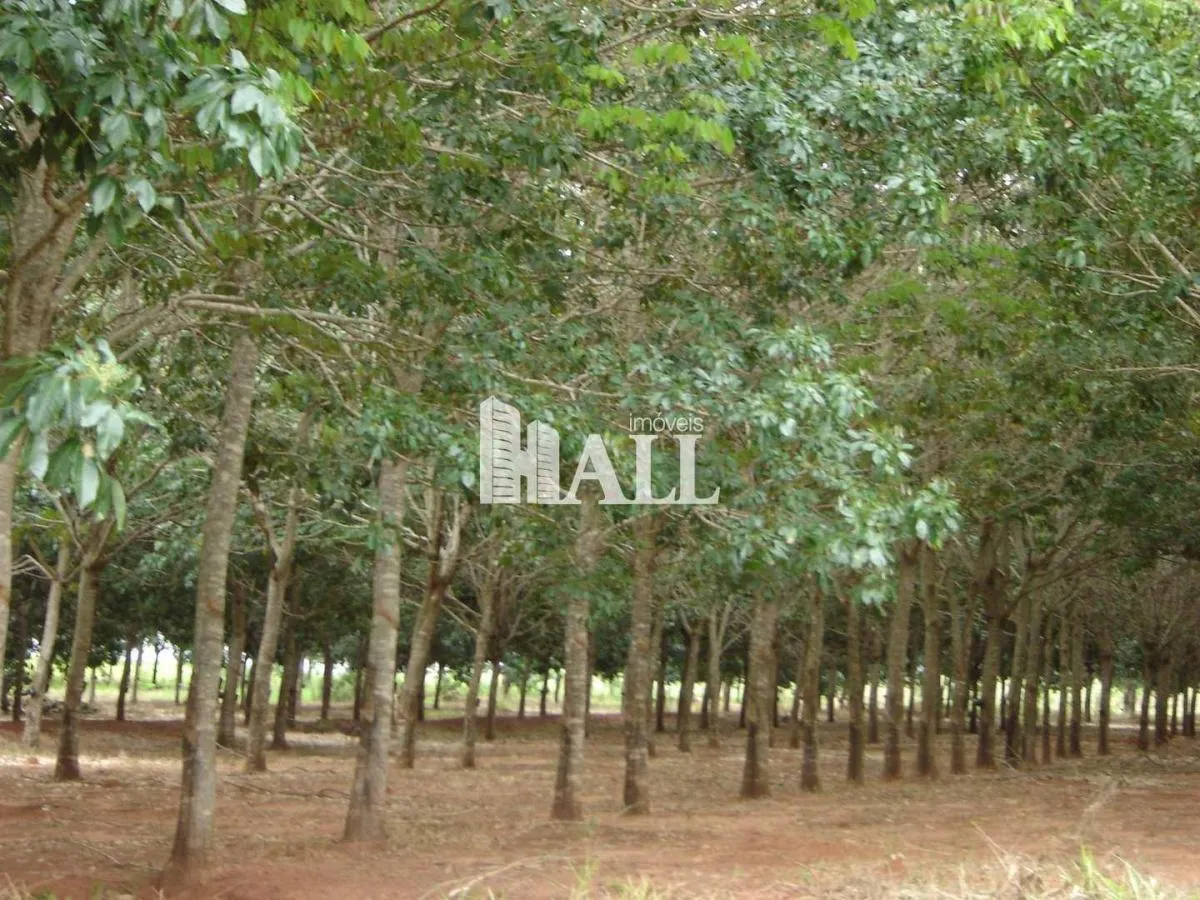 Fazenda à venda de 73 ha em Caiuá, SP, Brasil