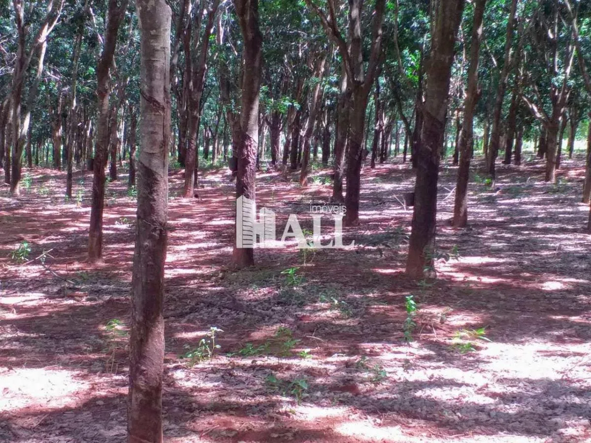 Fazenda à venda de 73 ha em Caiuá, SP, Brasil