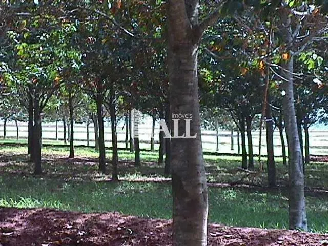 Fazenda à venda de 73 ha em Caiuá, SP, Brasil