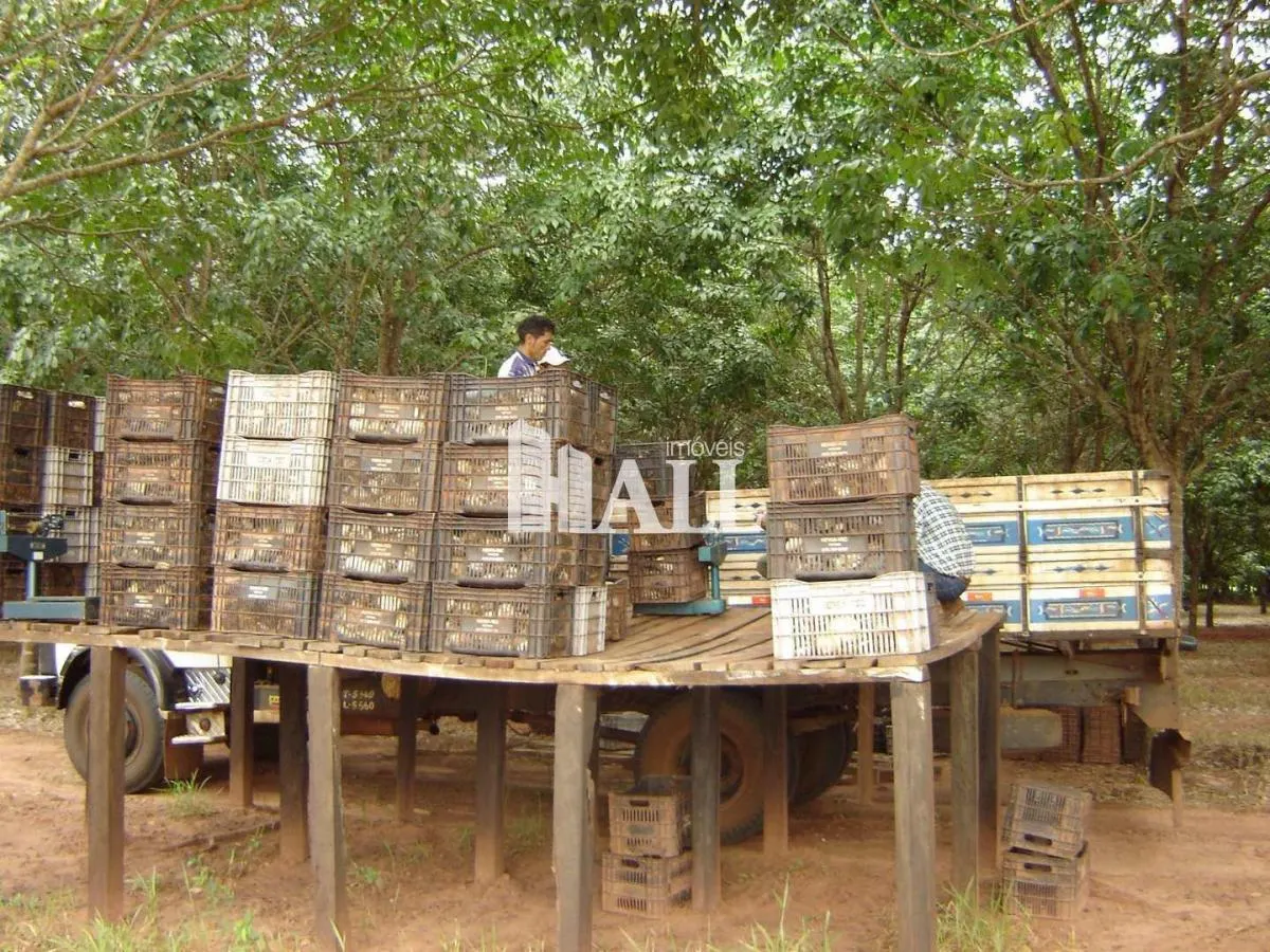 Fazenda à venda de 73 ha em Caiuá, SP, Brasil