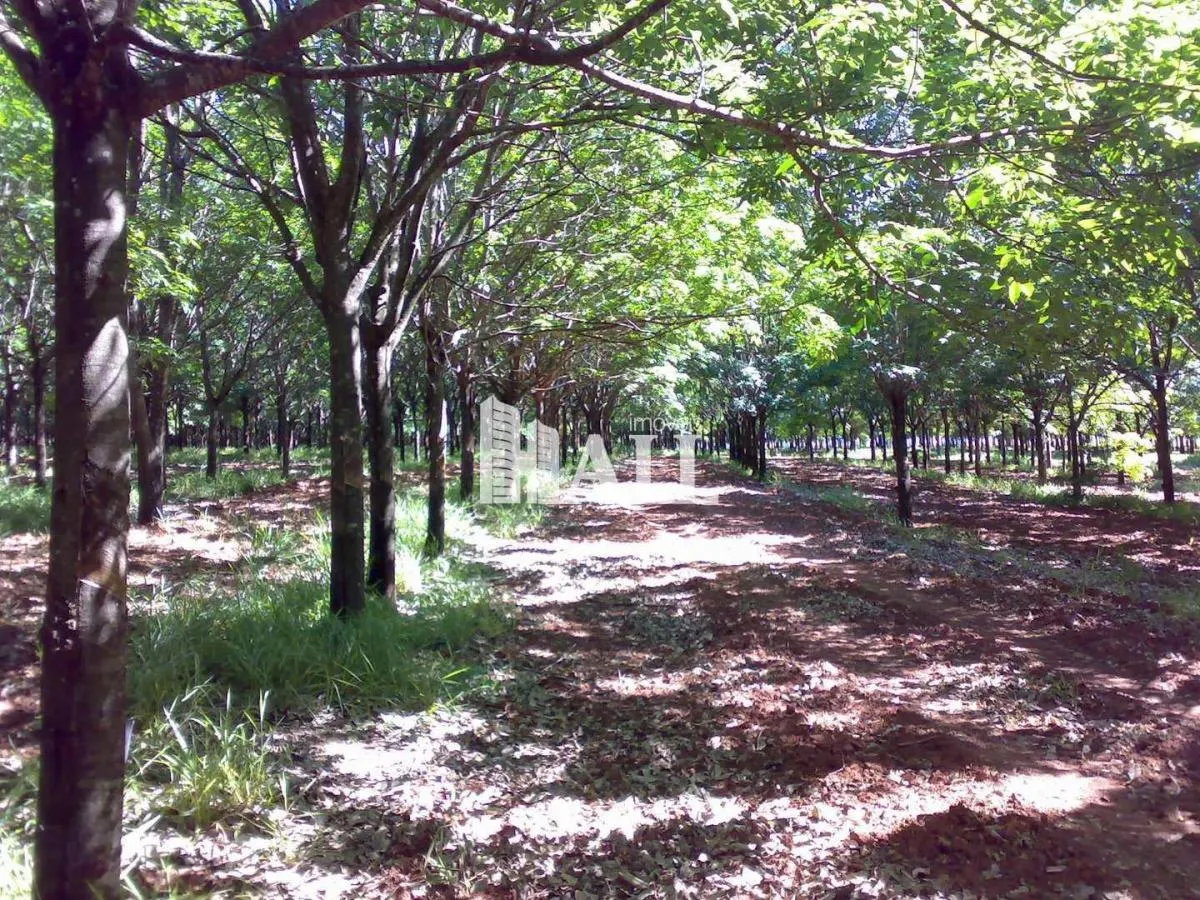 Fazenda à venda de 73 ha em Caiuá, SP, Brasil