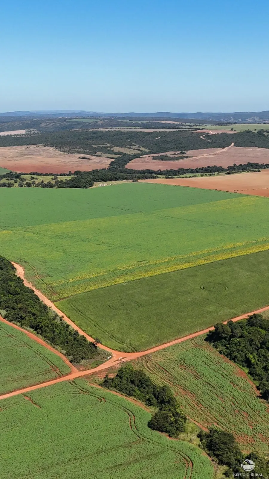 Fazenda à venda de 795 ha em Ipameri, GO, Brasil