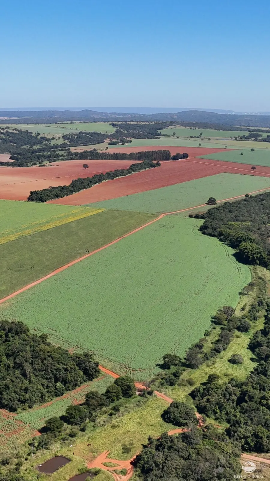Fazenda à venda de 795 ha em Ipameri, GO, Brasil