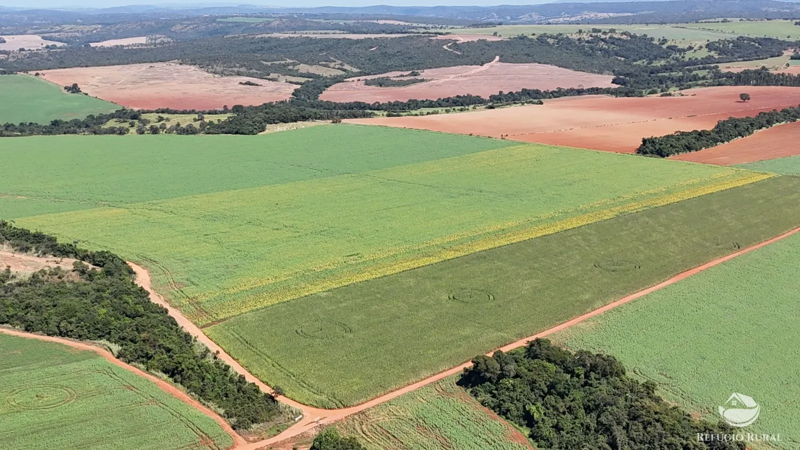 Fazenda à venda de 795 ha em Ipameri, GO, Brasil