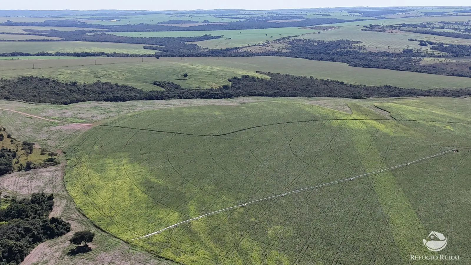 Fazenda à venda de 795 ha em Ipameri, GO, Brasil