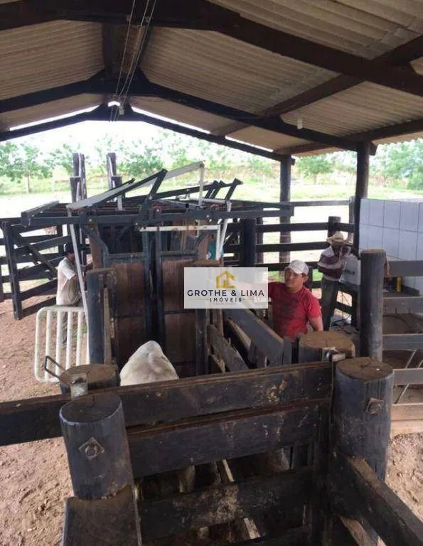 Fazenda à venda de 1.984 ha em Araguaína, TO, Brasil