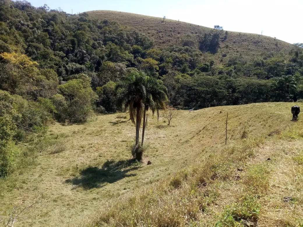 Sítio à venda de 7 ha em Monteiro Lobato, SP, Brasil