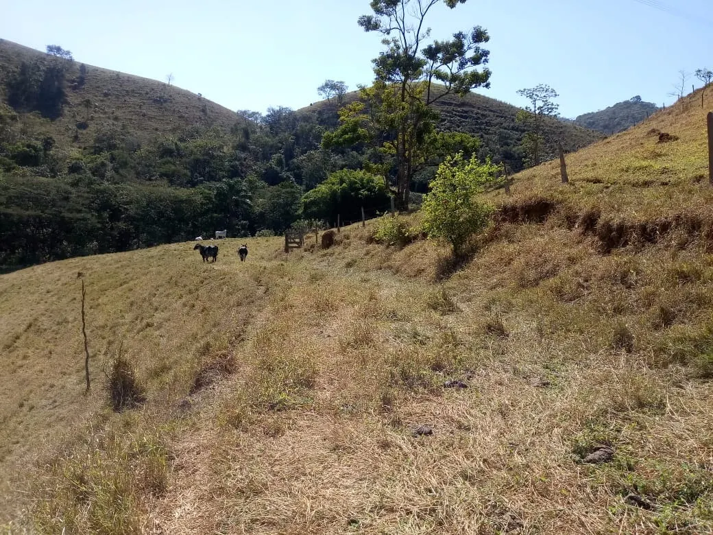 Sítio à venda de 7 ha em Monteiro Lobato, SP, Brasil