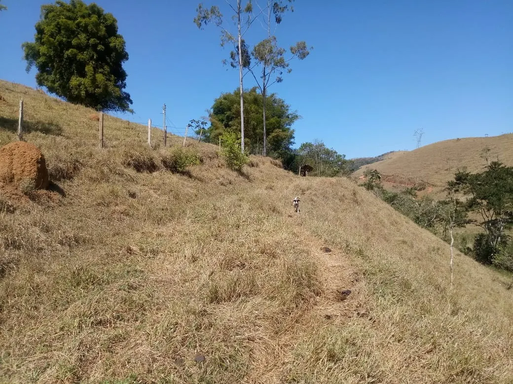 Sítio à venda de 7 ha em Monteiro Lobato, SP, Brasil