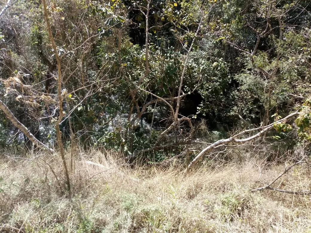 Sítio à venda de 7 ha em Monteiro Lobato, SP, Brasil