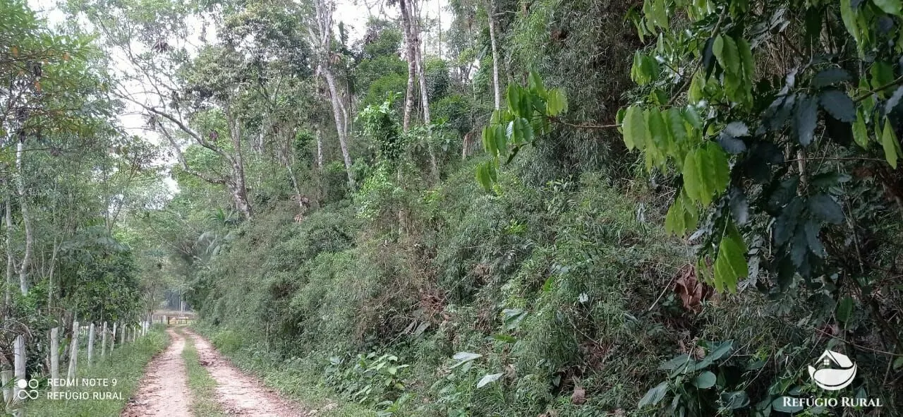 Plot for sale of 6 acres in Monteiro Lobato, SP, Brazil