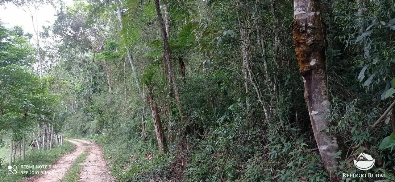 Plot for sale of 6 acres in Monteiro Lobato, SP, Brazil