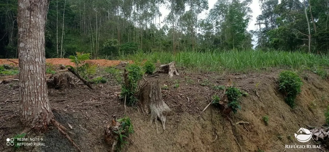 Plot for sale of 6 acres in Monteiro Lobato, SP, Brazil