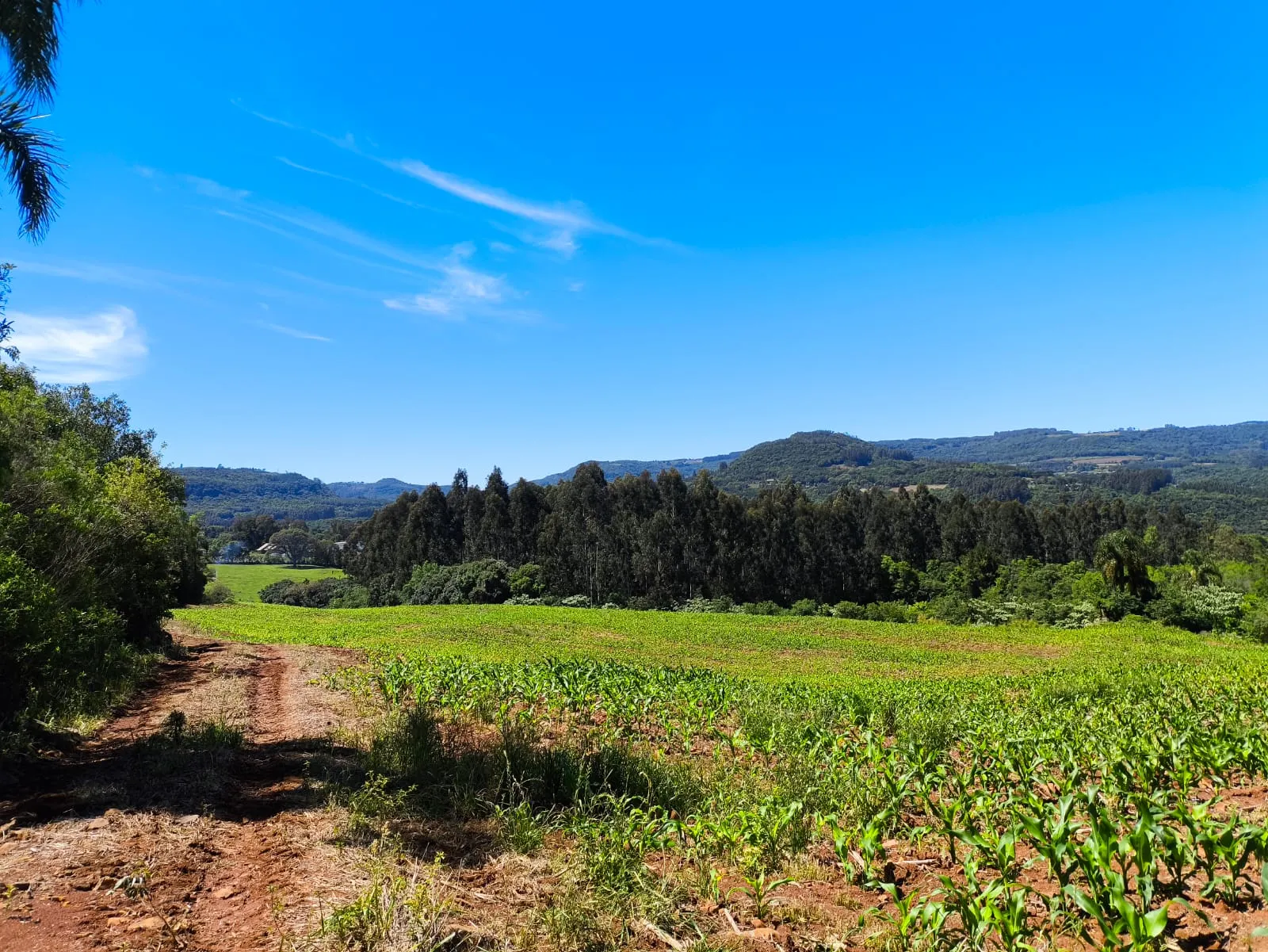 Small farm for sale of 14 acres in Gramado, RS, Brazil