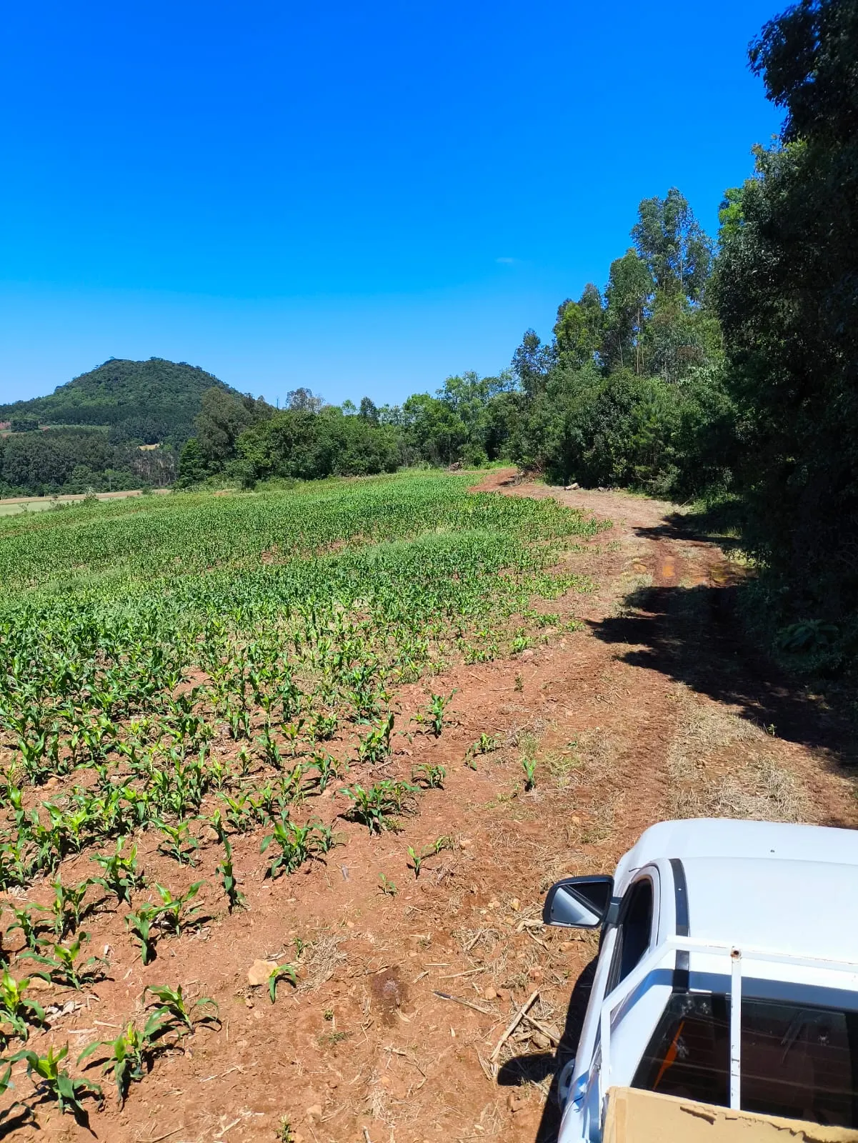 Small farm for sale of 14 acres in Gramado, RS, Brazil