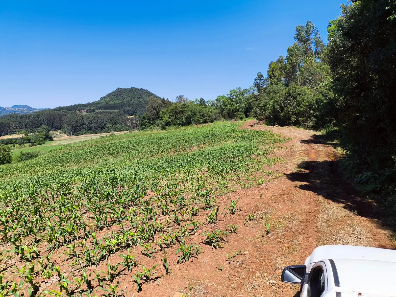 Small farm for sale of 14 acres in Gramado, RS, Brazil