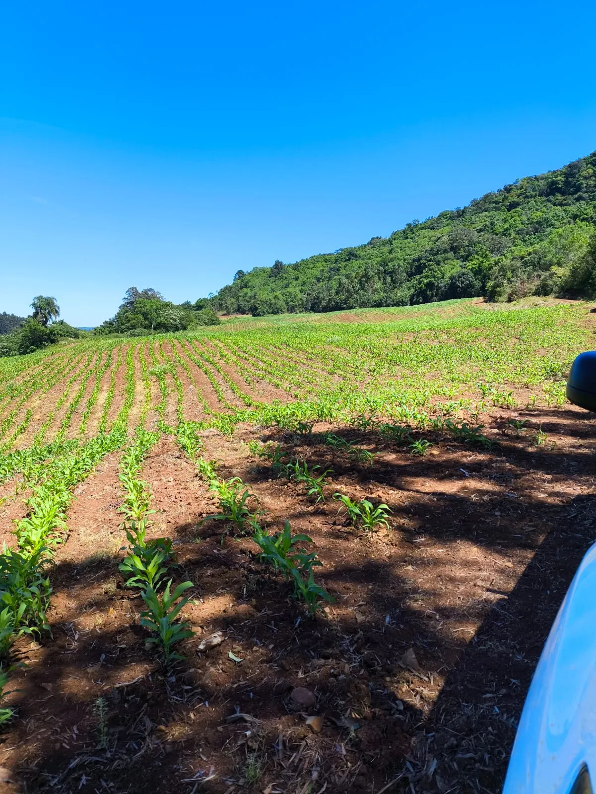 Small farm for sale of 14 acres in Gramado, RS, Brazil