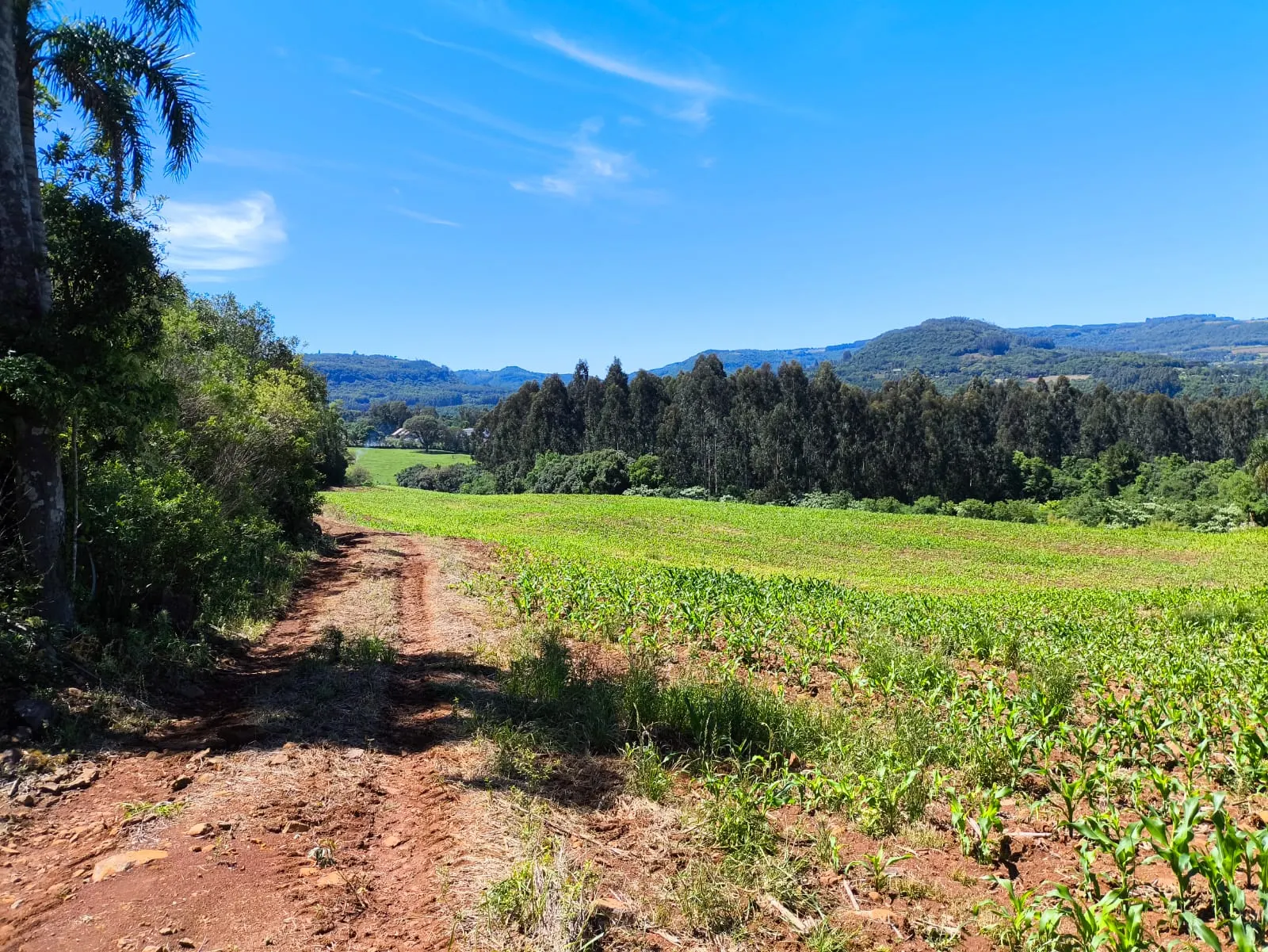 Small farm for sale of 14 acres in Gramado, RS, Brazil