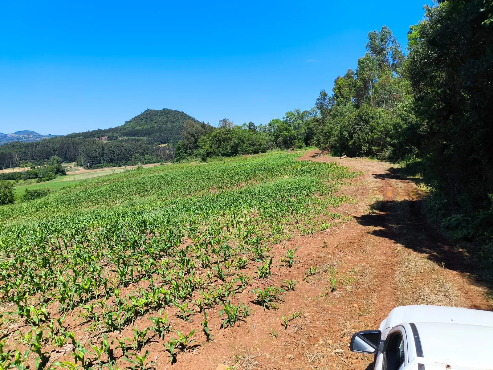 Small farm for sale of 14 acres in Gramado, RS, Brazil