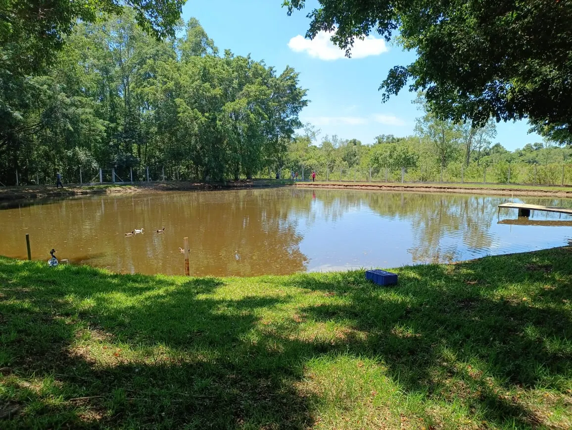 Sítio à venda de 18 ha em Cesário Lange, SP, Brasil