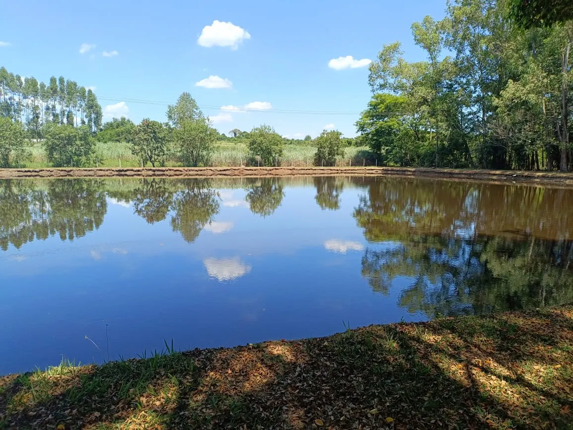 Sítio à venda de 18 ha em Cesário Lange, SP, Brasil