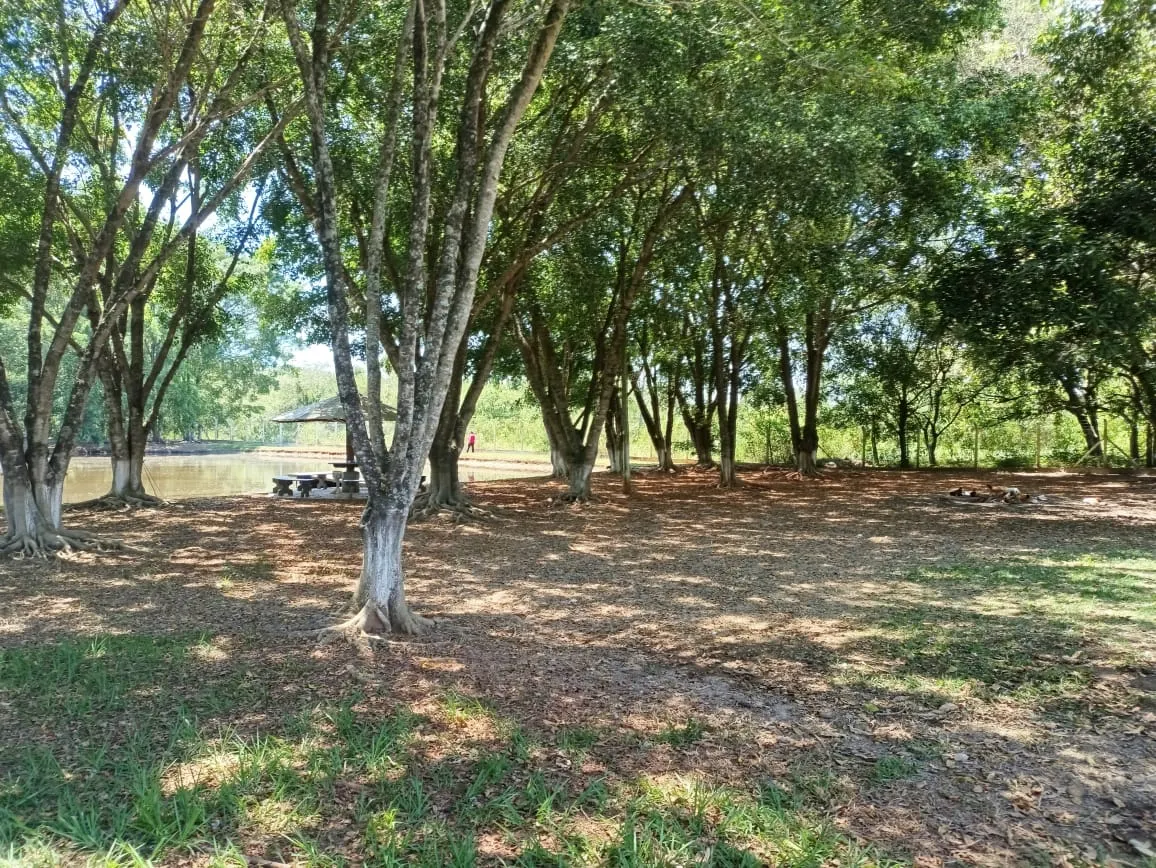 Sítio à venda de 18 ha em Cesário Lange, SP, Brasil