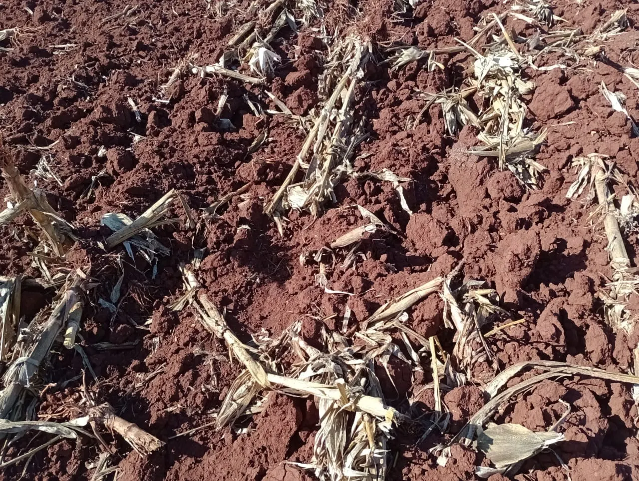 Fazenda à venda de 990 ha em Avaré, SP, Brasil