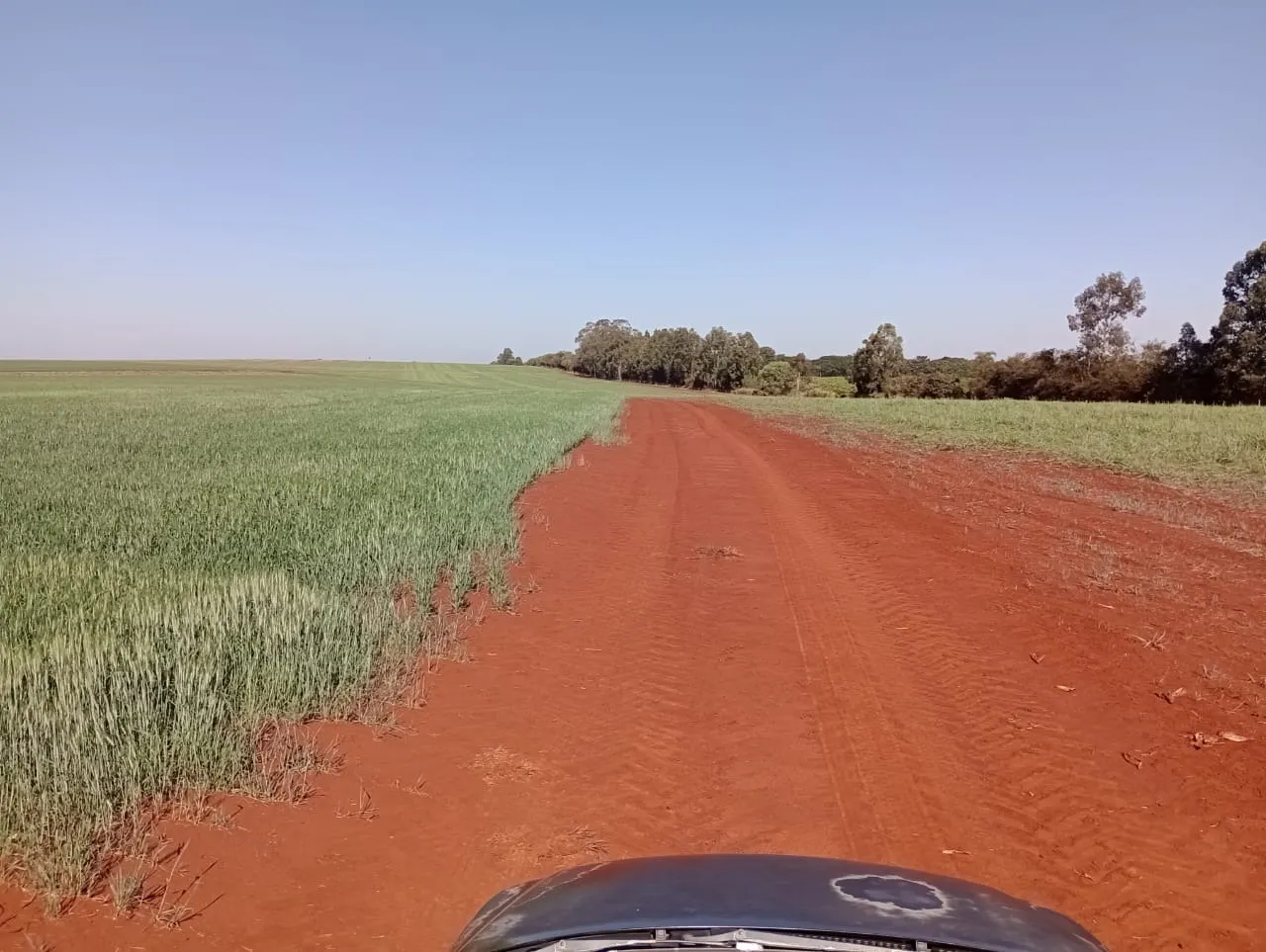 Fazenda à venda de 990 ha em Avaré, SP, Brasil
