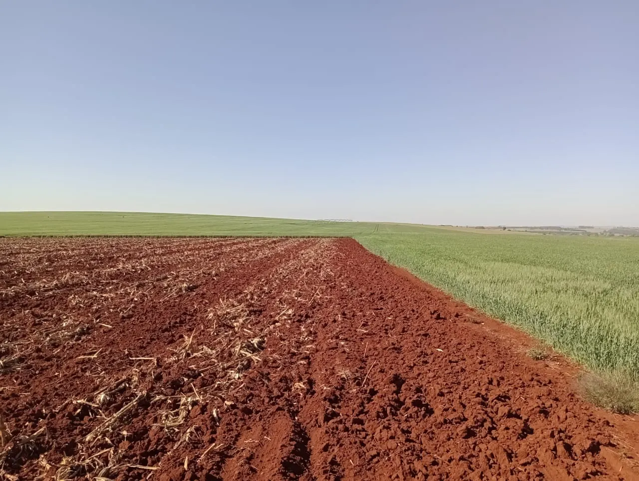 Fazenda à venda de 990 ha em Avaré, SP, Brasil