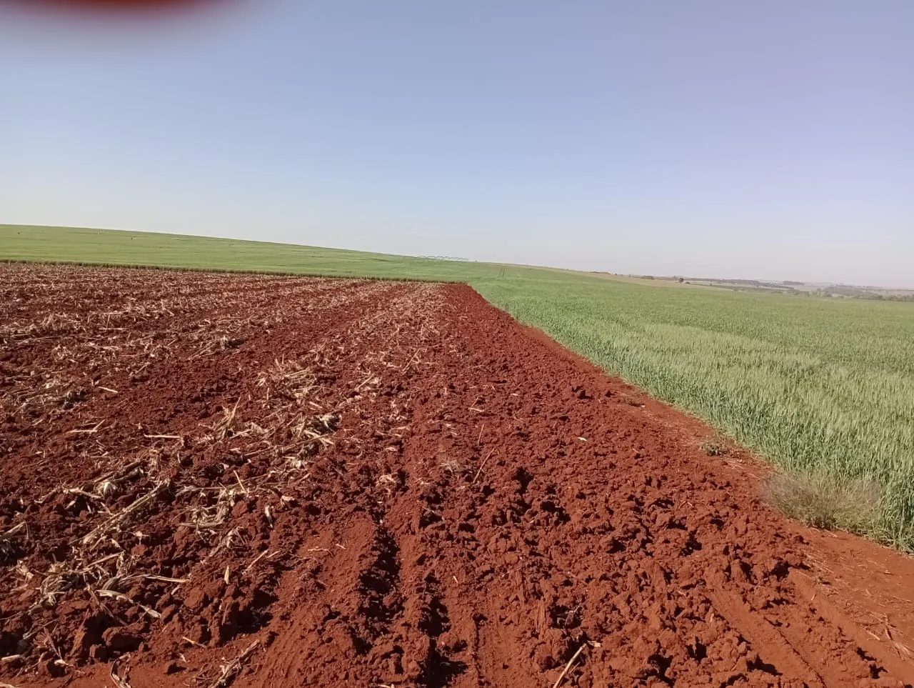 Fazenda à venda de 990 ha em Avaré, SP, Brasil