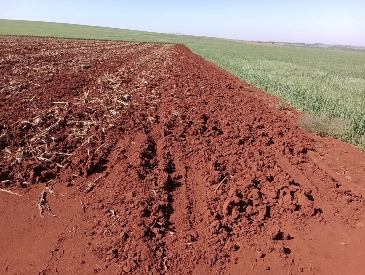 Fazenda à venda de 990 ha em Avaré, SP, Brasil