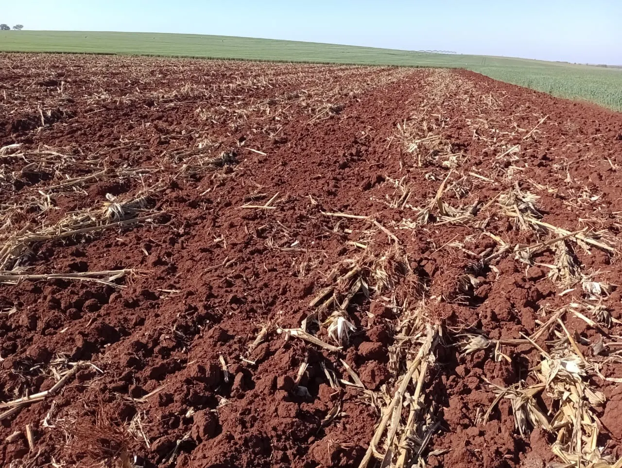 Fazenda à venda de 990 ha em Avaré, SP, Brasil