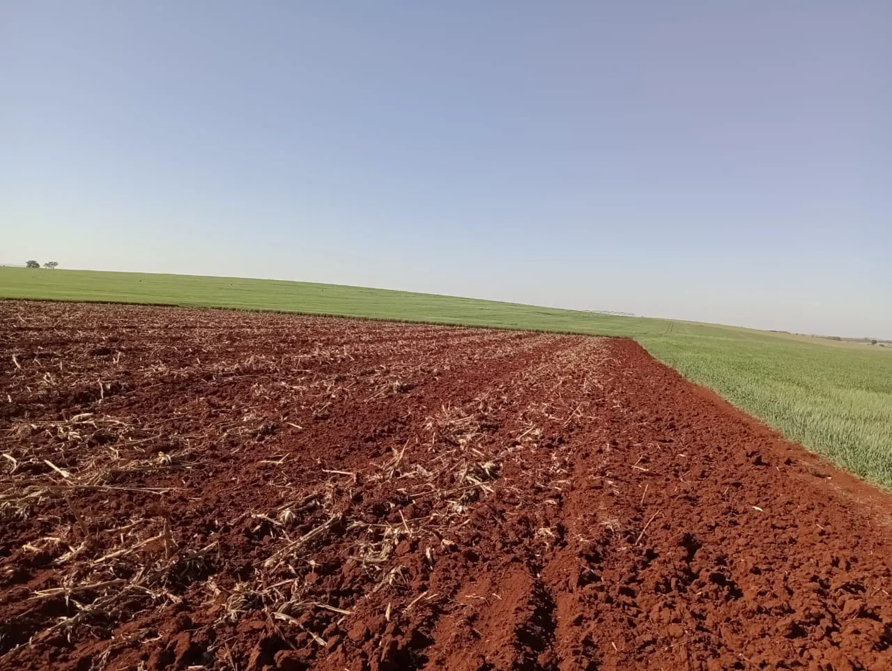 Fazenda à venda de 990 ha em Avaré, SP, Brasil