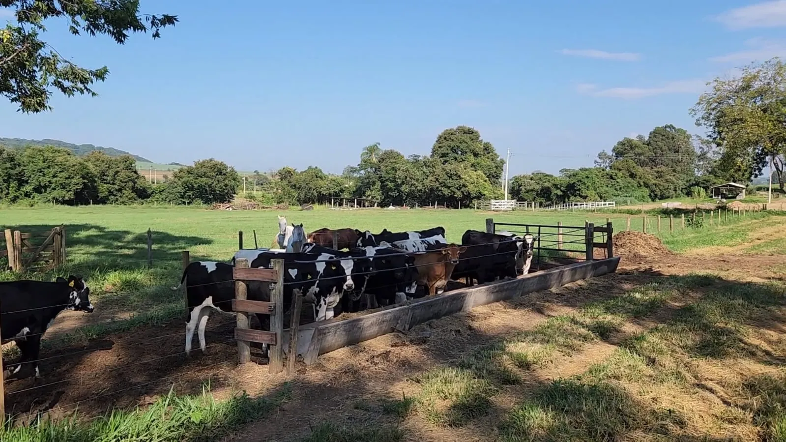 Fazenda à venda de 212 ha em Brotas, SP, Brasil