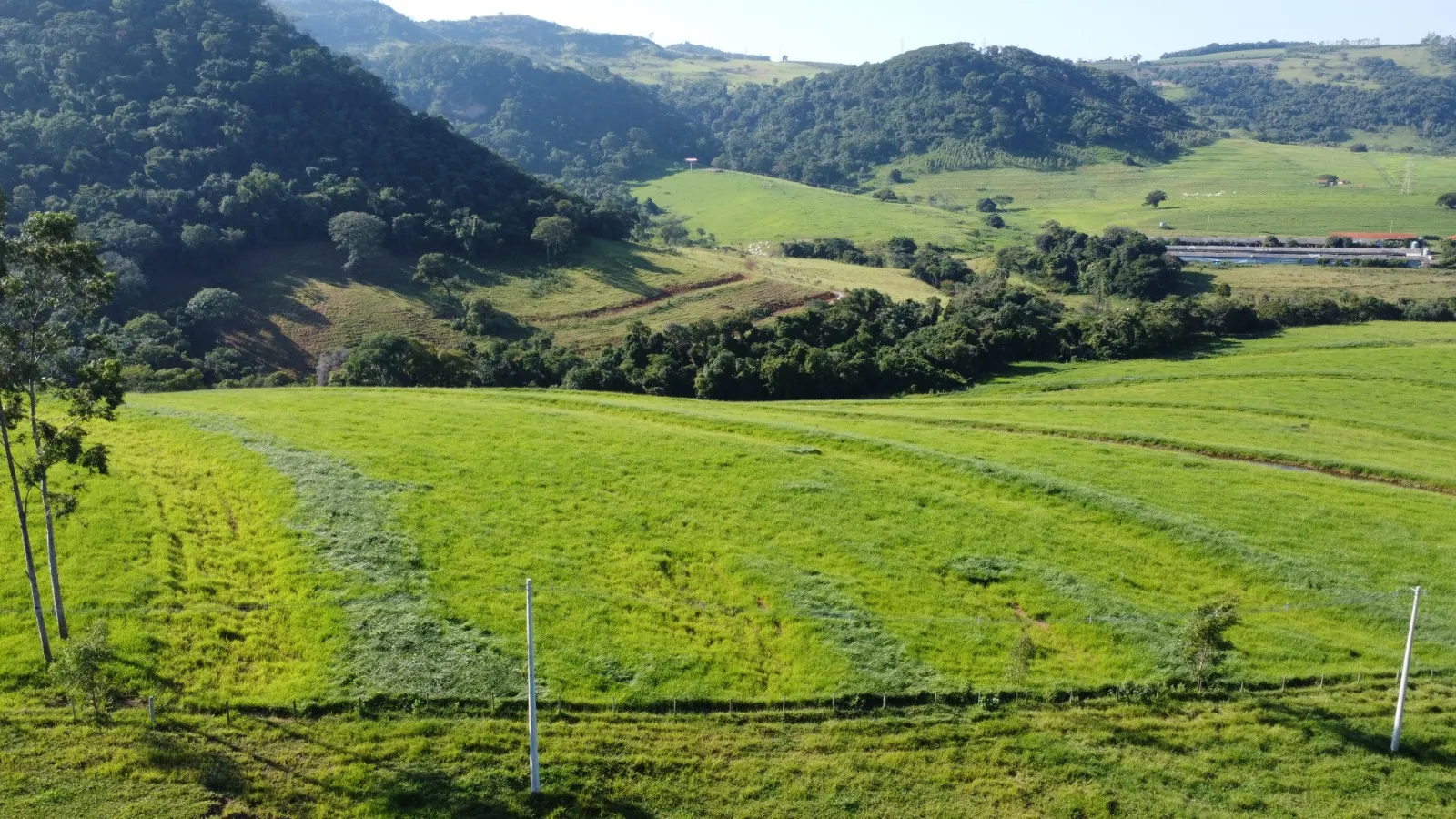 Fazenda à venda de 212 ha em Brotas, SP, Brasil