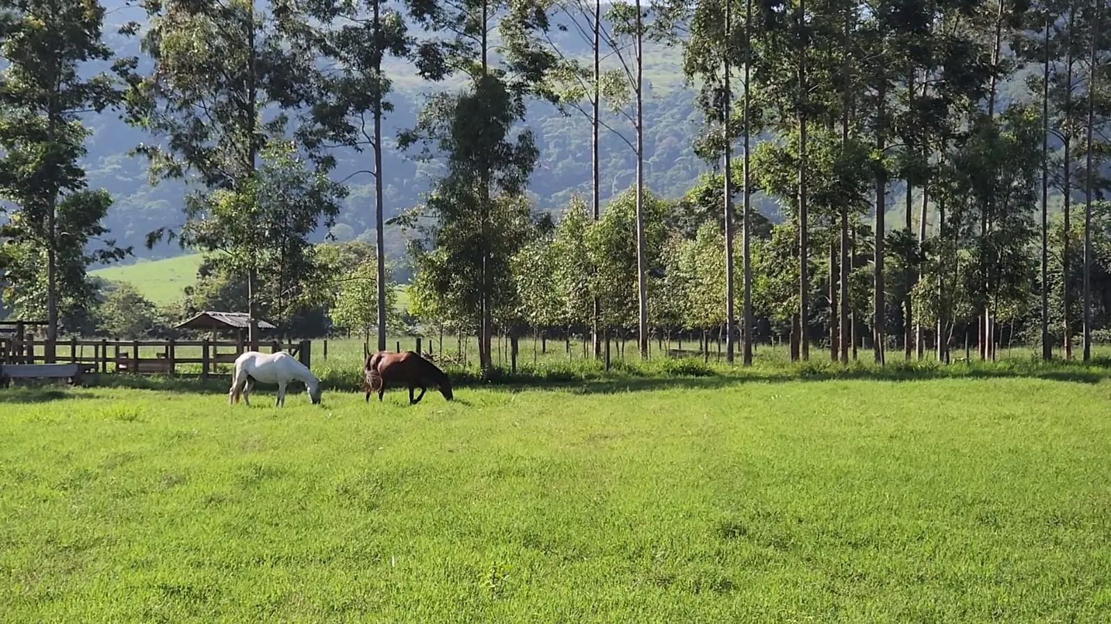 Fazenda à venda de 212 ha em Brotas, SP, Brasil