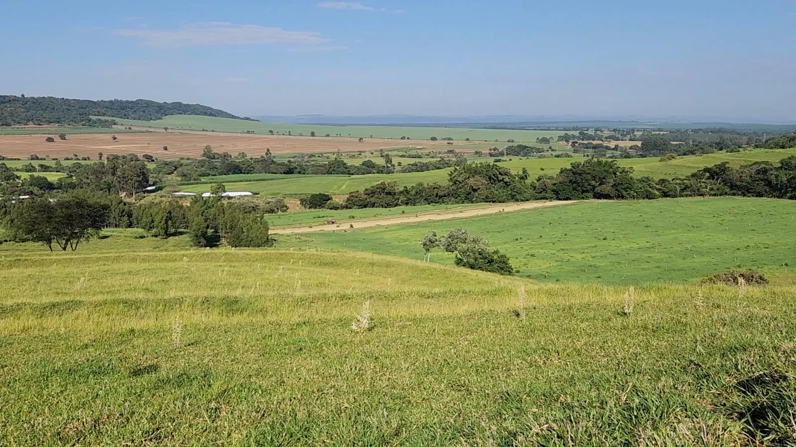 Fazenda à venda de 212 ha em Brotas, SP, Brasil