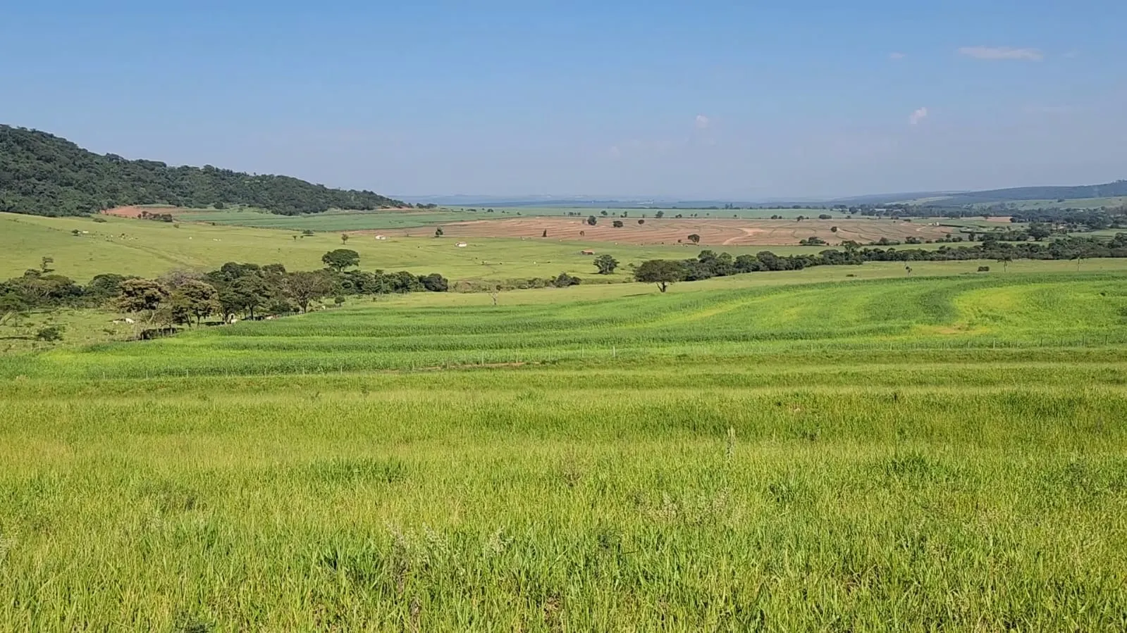 Fazenda à venda de 212 ha em Brotas, SP, Brasil