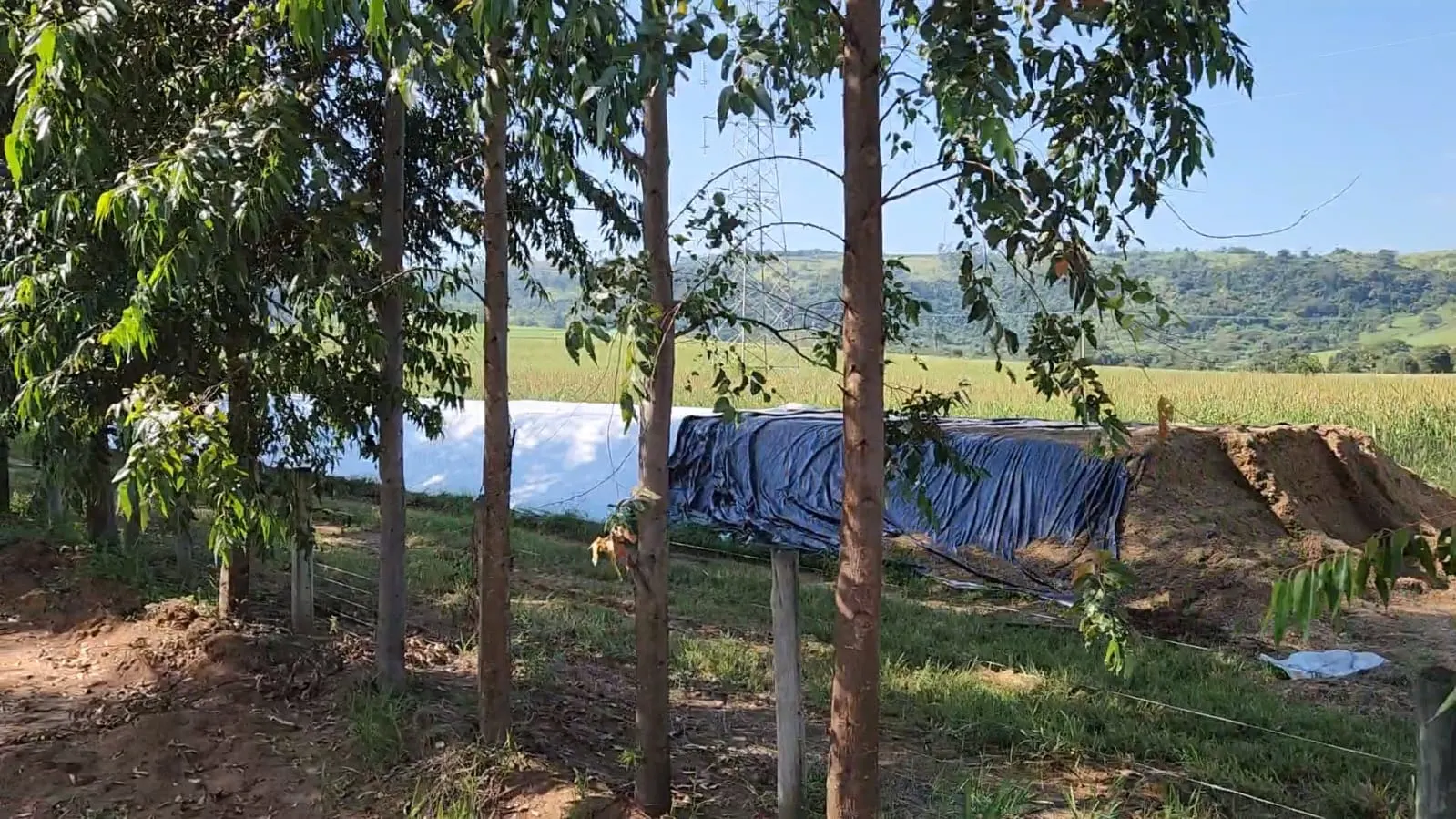 Fazenda à venda de 212 ha em Brotas, SP, Brasil