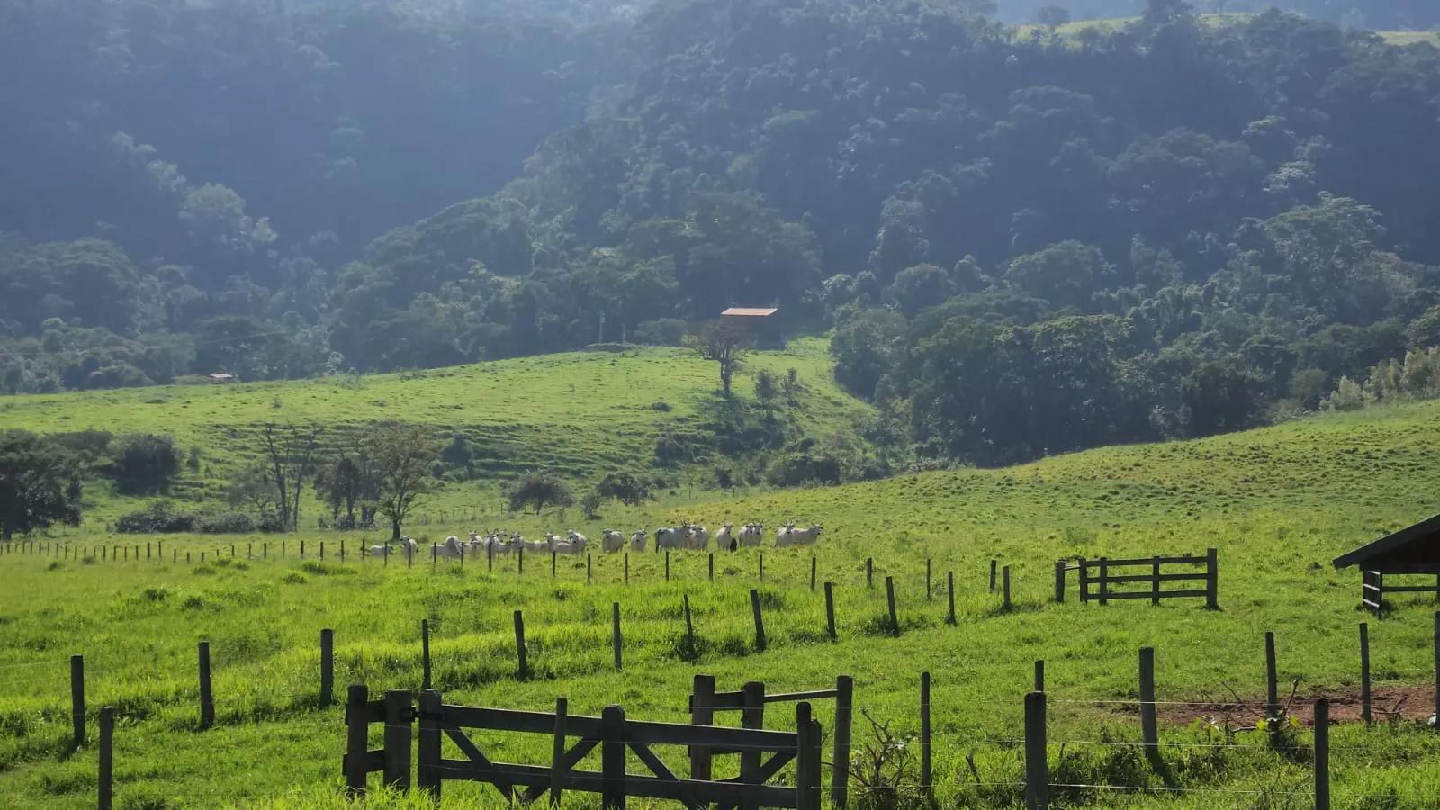 Fazenda à venda de 212 ha em Brotas, SP, Brasil