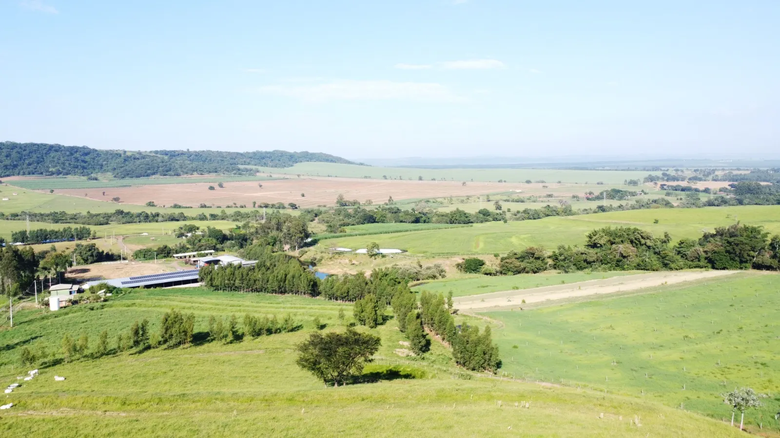 Fazenda à venda de 212 ha em Brotas, SP, Brasil