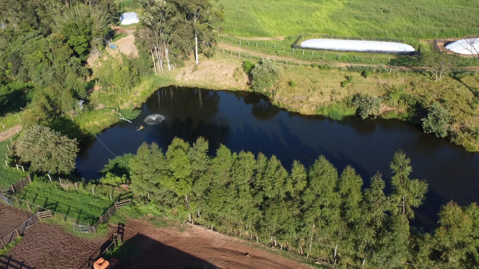 Fazenda à venda de 212 ha em Brotas, SP, Brasil