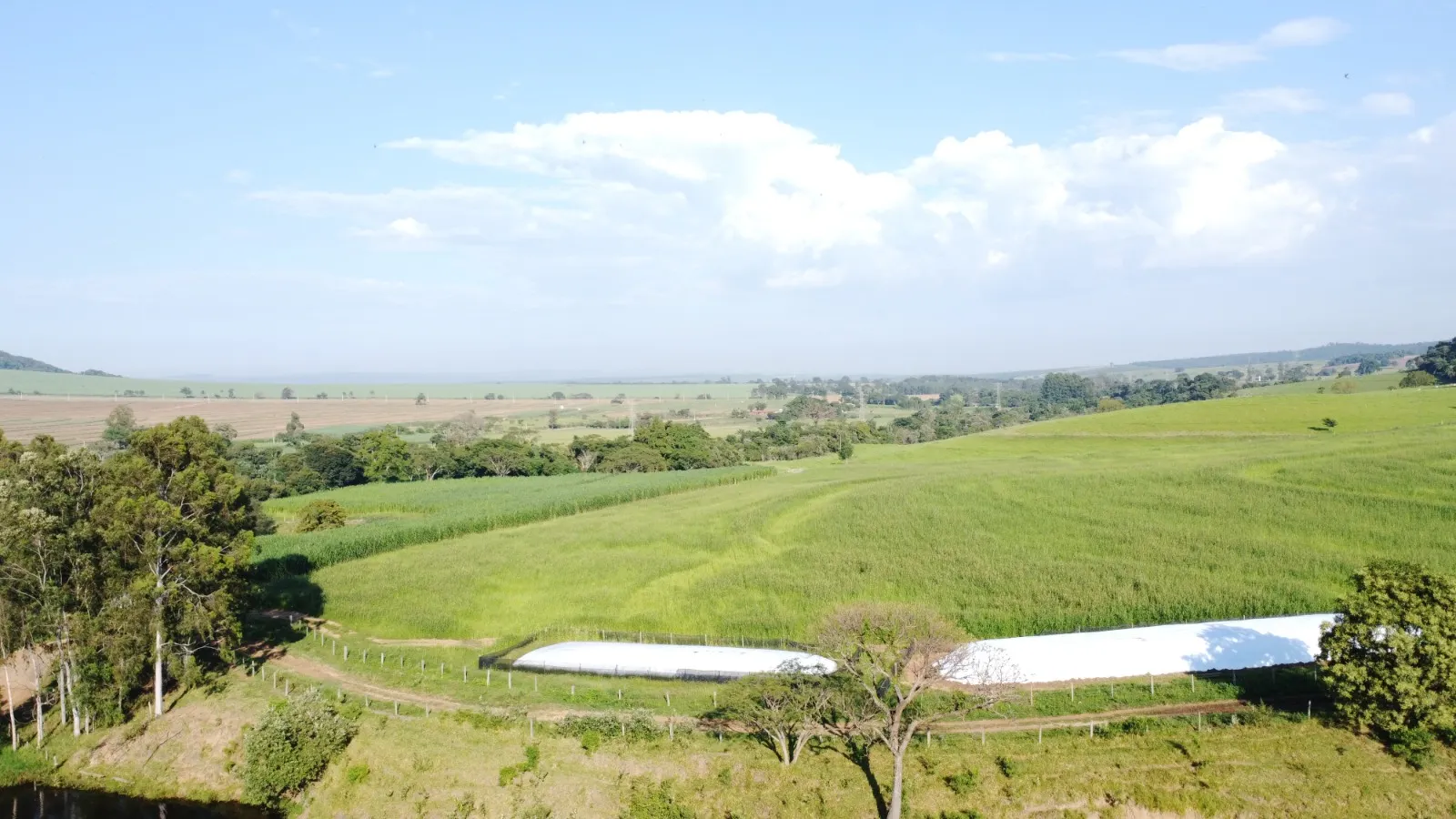 Fazenda à venda de 212 ha em Brotas, SP, Brasil