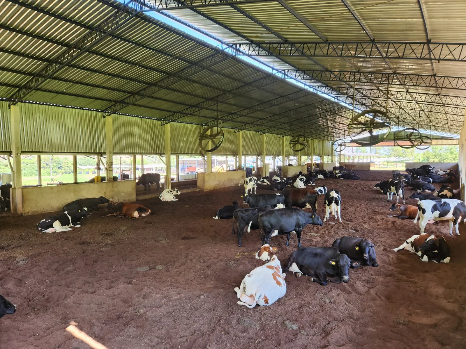 Fazenda à venda de 212 ha em Brotas, SP, Brasil