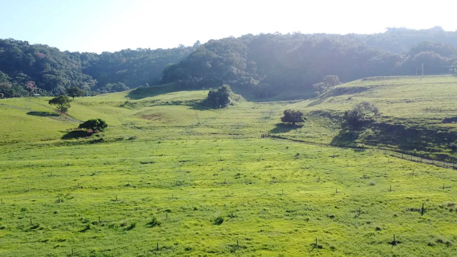 Fazenda à venda de 212 ha em Brotas, SP, Brasil