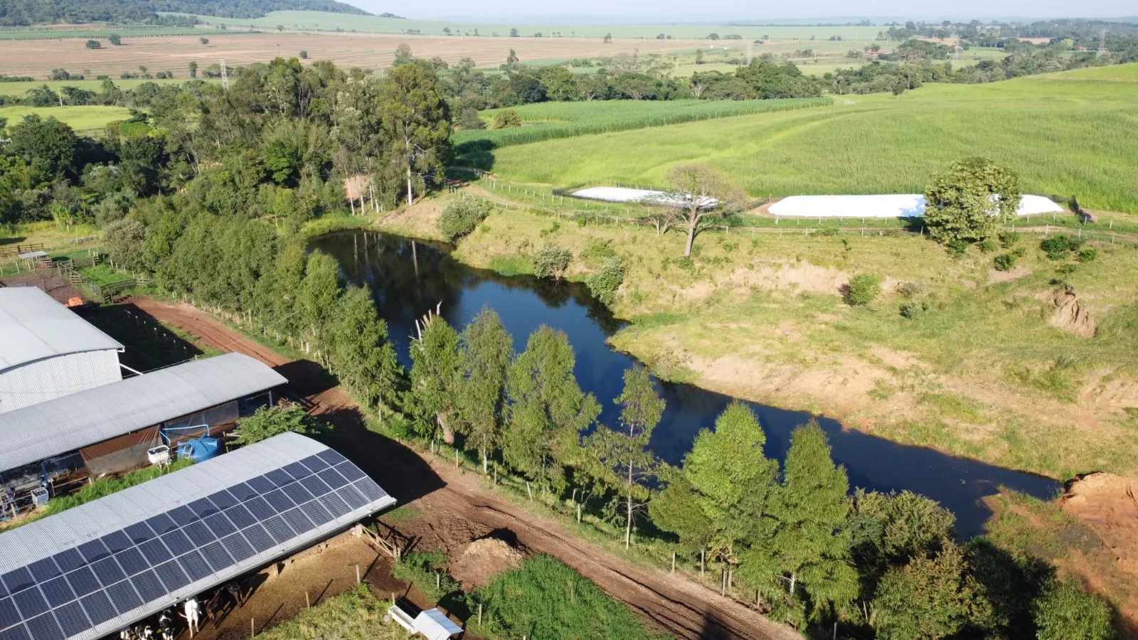 Fazenda à venda de 212 ha em Brotas, SP, Brasil